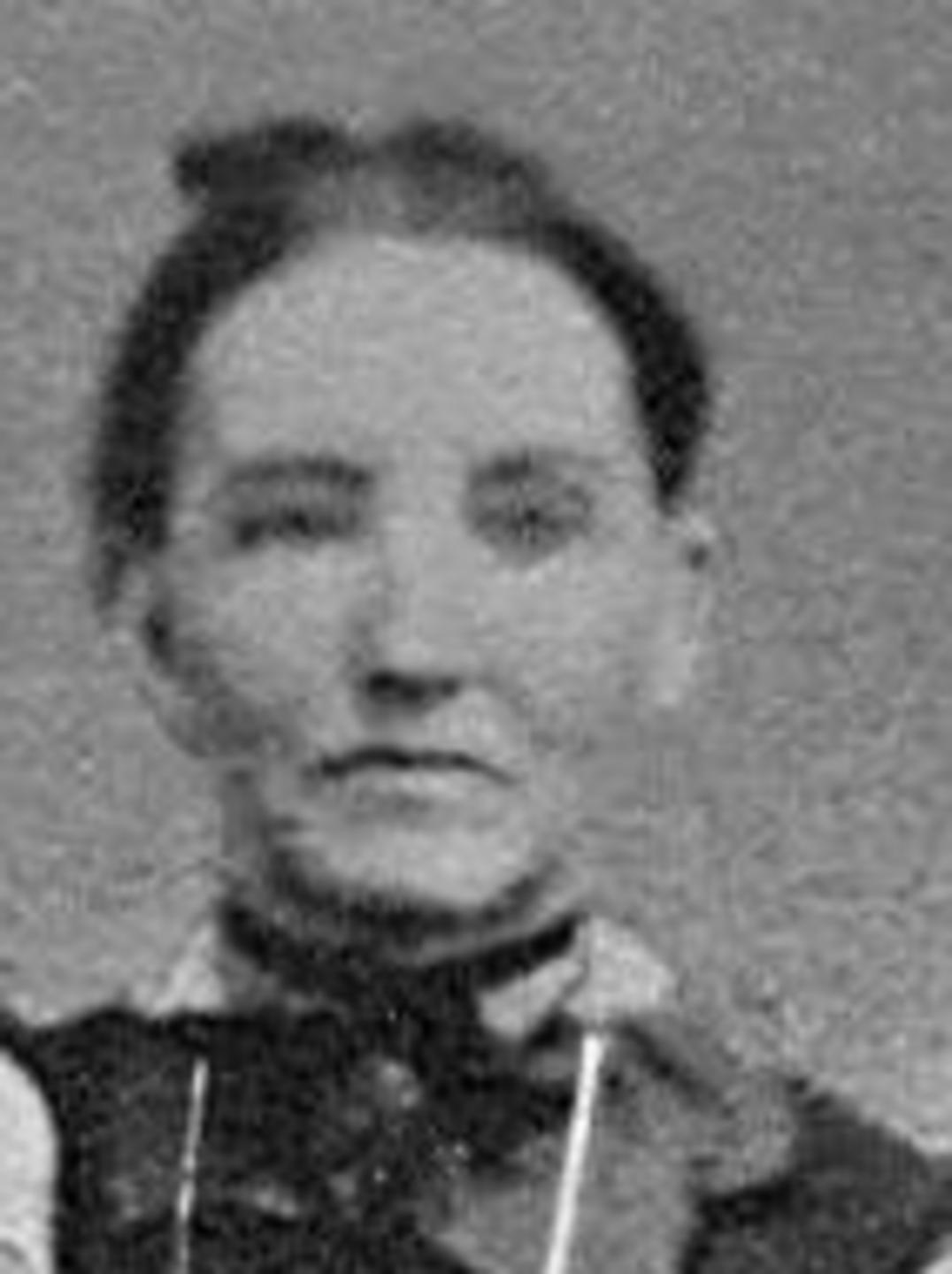 Mildred Elizabeth Johnson (1827 - 1913) Profile
